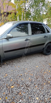 Пороги "Мини-стандарт" ВАЗ 1117-1119